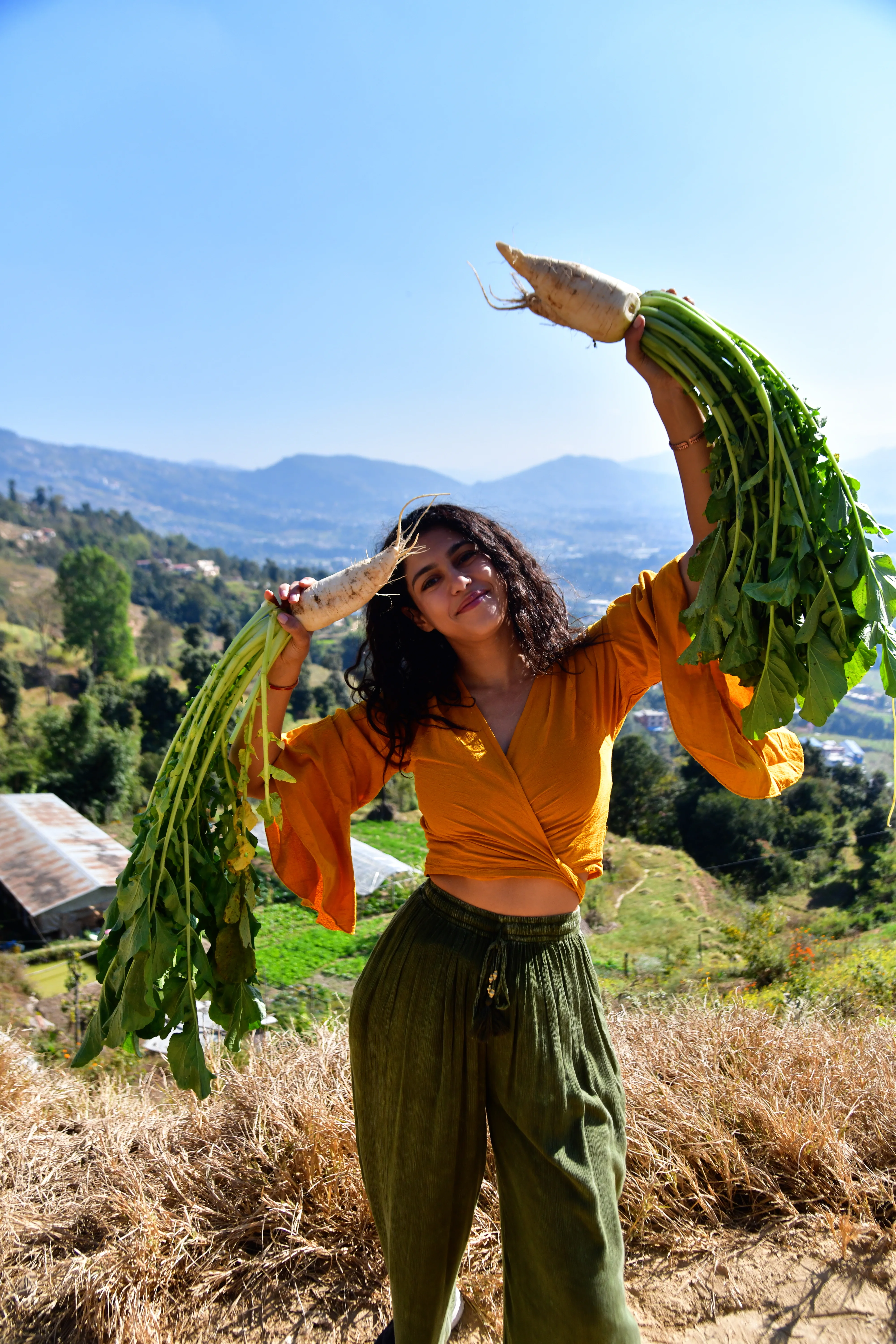 Natural Ayurvedic ingredients and tools arranged with care.